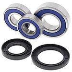 ALL BALLS WHEEL BEARING KIT
