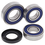 ALL BALLS WHEEL BEARING KIT