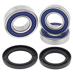 ALL BALLS WHEEL BEARING KIT