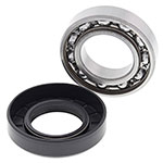 ALL BALLS WHEEL BEARING KIT