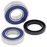 ALL BALLS WHEEL BEARING KIT