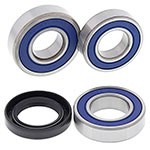 ALL BALLS WHEEL BEARING KIT