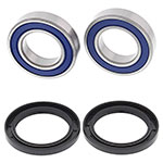 ALL BALLS WHEEL BEARING KIT