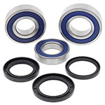 ALL BALLS WHEEL BEARING KIT