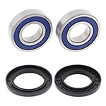 ALL BALLS WHEEL BEARING KIT