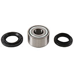 ALL BALLS WHEEL BEARING KIT