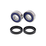 ALL BALLS WHEEL BEARING KIT