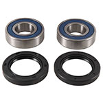 ALL BALLS WHEEL BEARING KIT