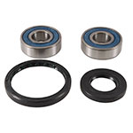 ALL BALLS WHEEL BEARING KIT