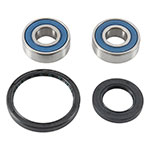 ALL BALLS WHEEL BEARING KIT