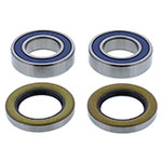 ALL BALLS WHEEL BEARING KIT