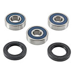 ALL BALLS WHEEL BEARING KIT