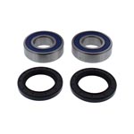 ALL BALLS WHEEL BEARING KIT