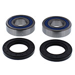 ALL BALLS WHEEL BEARING KIT