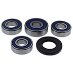 ALL BALLS WHEEL BEARING KIT