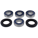 ALL BALLS WHEEL BEARING KIT