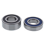 ALL BALLS WHEEL BEARING KIT
