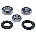 ALL BALLS WHEEL BEARING KIT