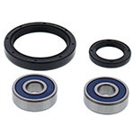 ALL BALLS WHEEL BEARING KIT