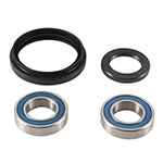 ALL BALLS WHEEL BEARING KIT