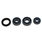 ALL BALLS WHEEL BEARING KIT