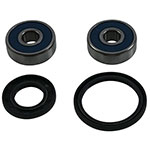 ALL BALLS WHEEL BEARING KIT