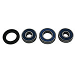 ALL BALLS WHEEL BEARING KIT