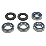 ALL BALLS WHEEL BEARING KIT