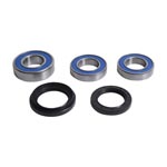 ALL BALLS WHEEL BEARING KIT
