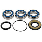 ALL BALLS WHEEL BEARING KIT