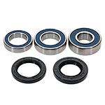 ALL BALLS WHEEL BEARING KIT
