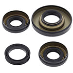 ALL BALLS DIFFERENTIAL SEAL KIT