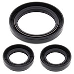 ALL BALLS DIFFERENTIAL SEAL KIT