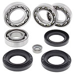 ALL BALLS DIFFERENTIAL BEARING & SEAL KIT