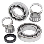 ALL BALLS DIFFERENTIAL BEARING & SEAL KIT