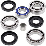 ALL BALLS DIFFERENTIAL BEARING & SEAL KIT