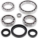 ALL BALLS DIFFERENTIAL BEARING & SEAL KIT