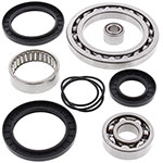 ALL BALLS DIFFERENTIAL BEARING & SEAL KIT