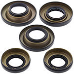 ALL BALLS DIFFERENTIAL SEAL KIT