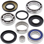 ALL BALLS DIFFERENTIAL BEARING & SEAL KIT