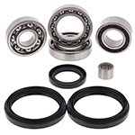ALL BALLS DIFFERENTIAL BEARING & SEAL KIT