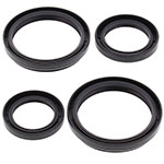 ALL BALLS DIFFERENTIAL SEAL KIT