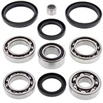 ALL BALLS DIFFERENTIAL BEARING & SEAL KIT
