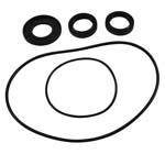 ALL BALLS DIFFERENTIAL SEAL KIT