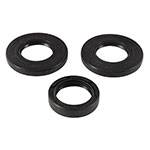 ALL BALLS DIFFERENTIAL SEAL KIT