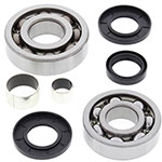 ALL BALLS DIFFERENTIAL BEARING & SEAL KIT