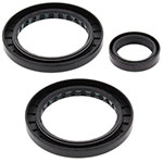 ALL BALLS DIFFERENTIAL SEAL KIT