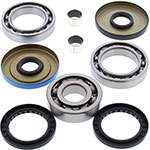 ALL BALLS DIFFERENTIAL BEARING & SEAL KIT