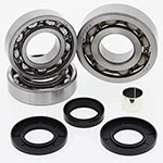 ALL BALLS DIFFERENTIAL BEARING & SEAL KIT