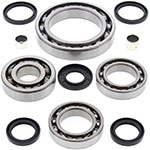 ALL BALLS DIFFERENTIAL BEARING & SEAL KIT